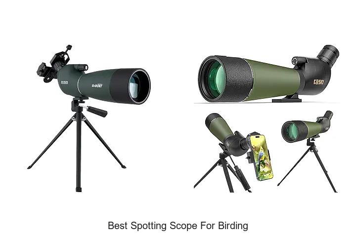 best spotting scope for birding
