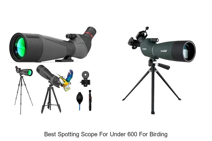best spotting scope for under 600 for birding