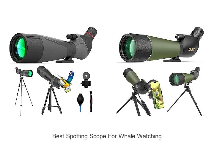 best spotting scope for whale watching