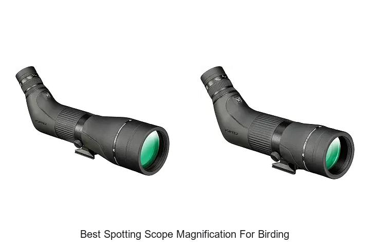 best spotting scope magnification for birding