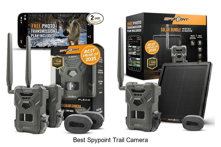best spypoint trail camera
