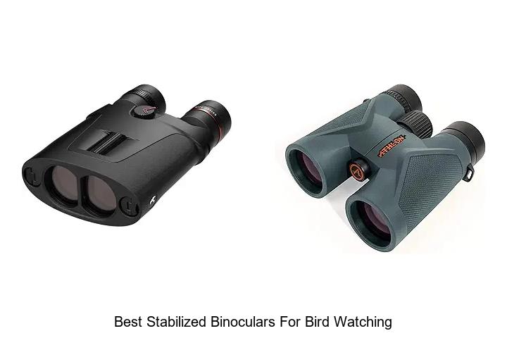 best stabilized binoculars for bird watching