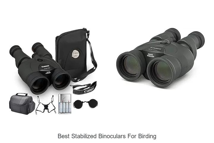 best stabilized binoculars for birding