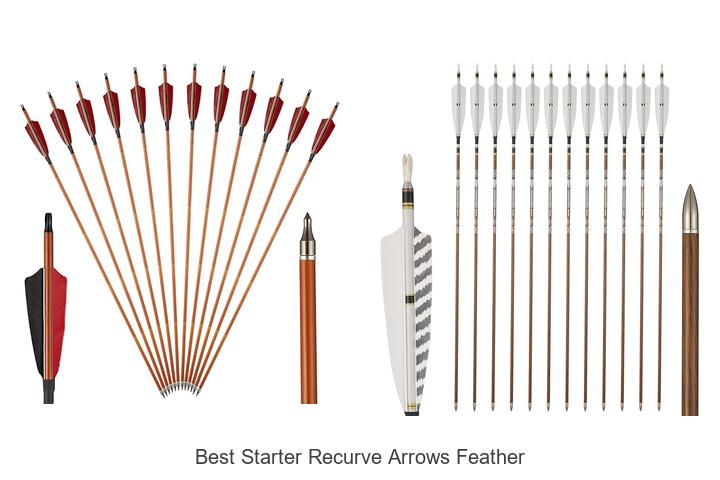 best starter recurve arrows feather