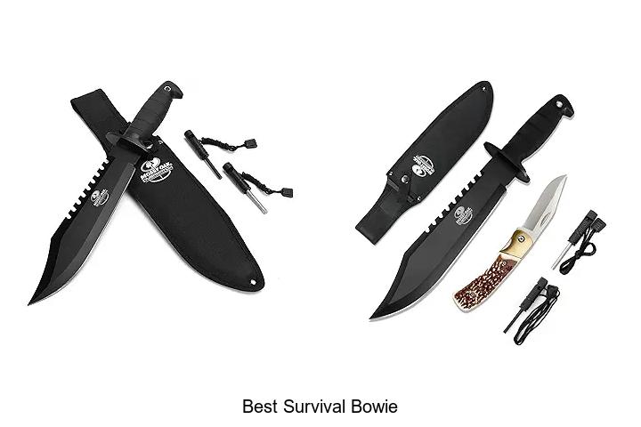 best survival bowie
