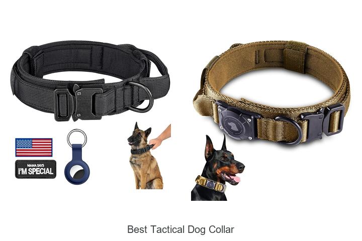 best tactical dog collar