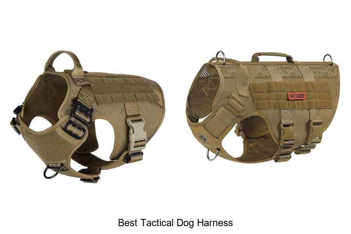 best tactical dog harness