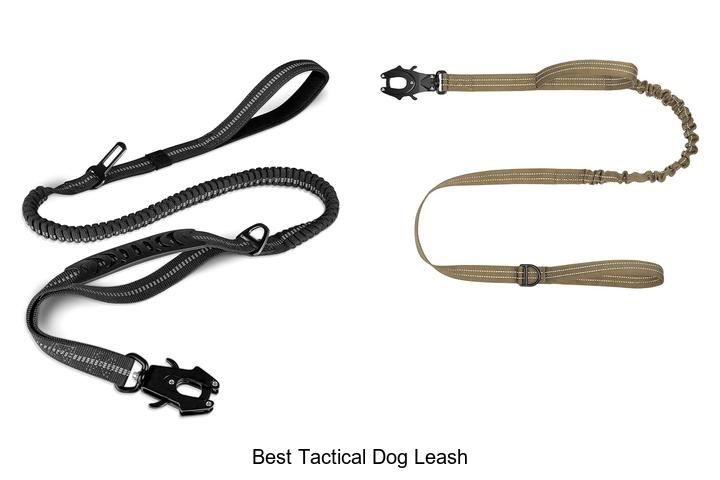 best tactical dog leash