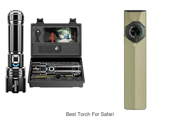 best torch for safari
