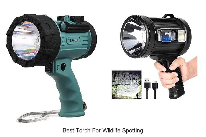 best torch for wildlife spotting
