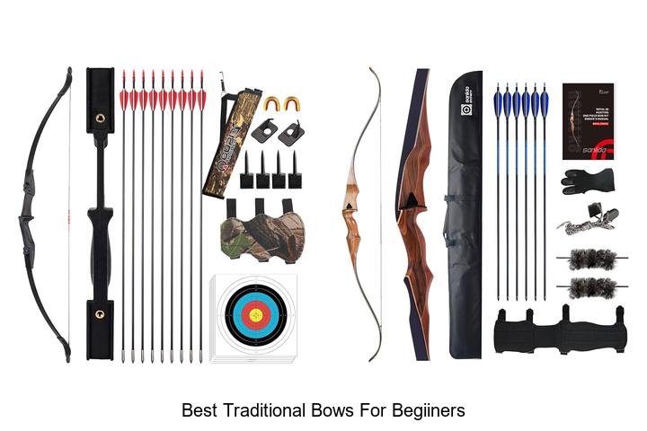 best traditional bows for begiiners
