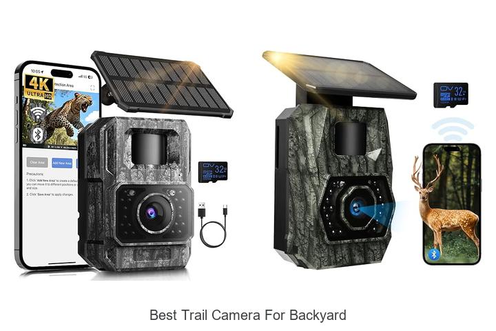 best trail camera for backyard