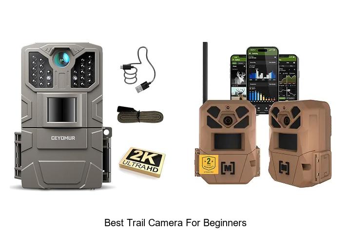 best trail camera for beginners