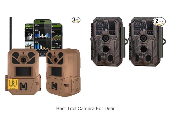 best trail camera for deer