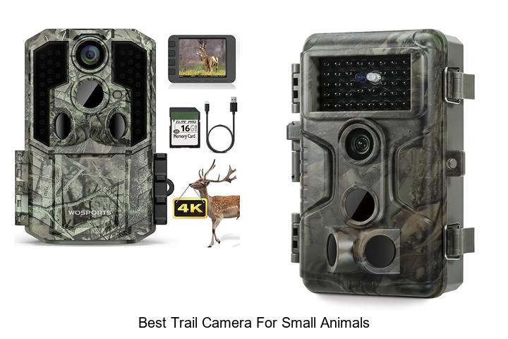 best trail camera for small animals
