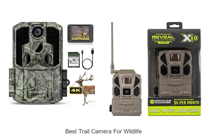 best trail camera for wildlife