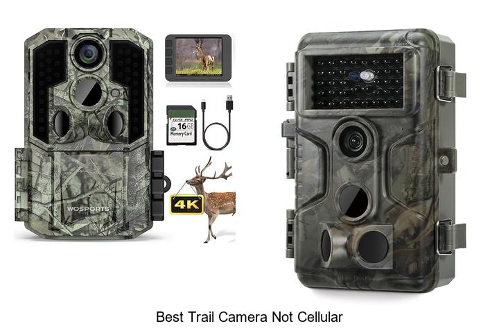 best trail camera not cellular