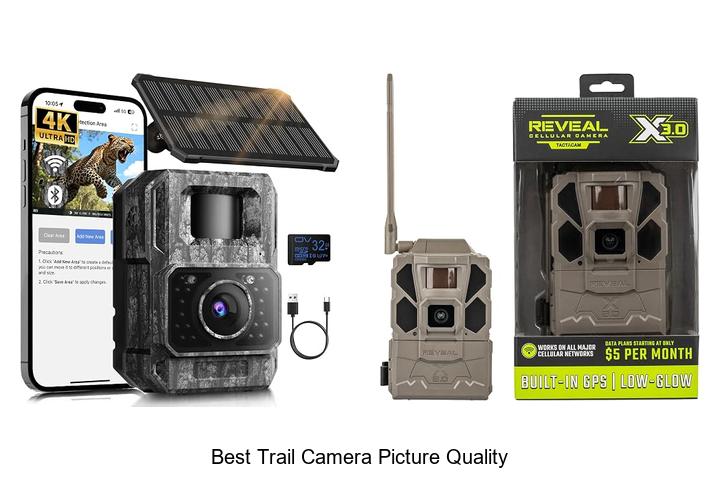 best trail camera picture quality