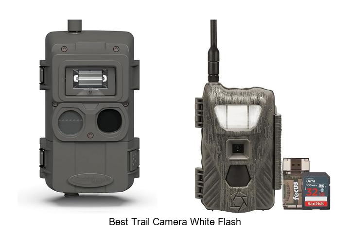 best trail camera white flash