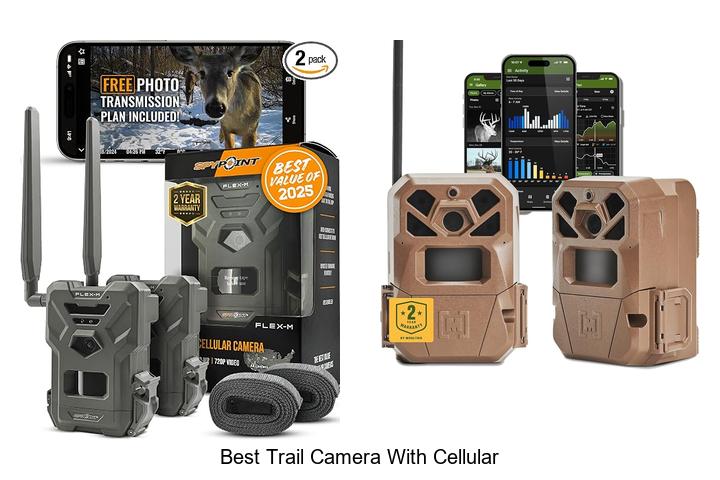 best trail camera with cellular