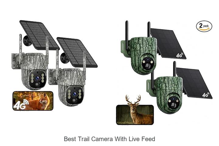 best trail camera with live feed