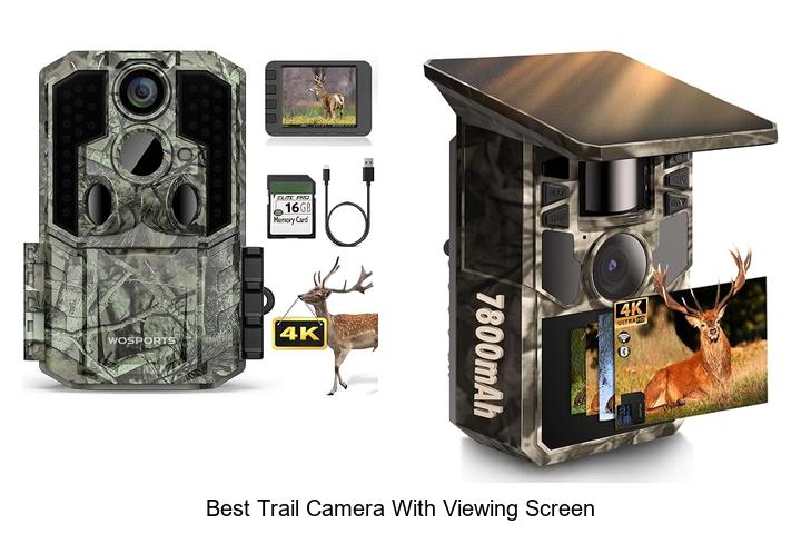 best trail camera with viewing screen