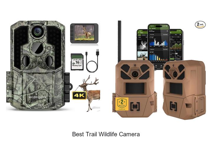 best trail wildlife camera