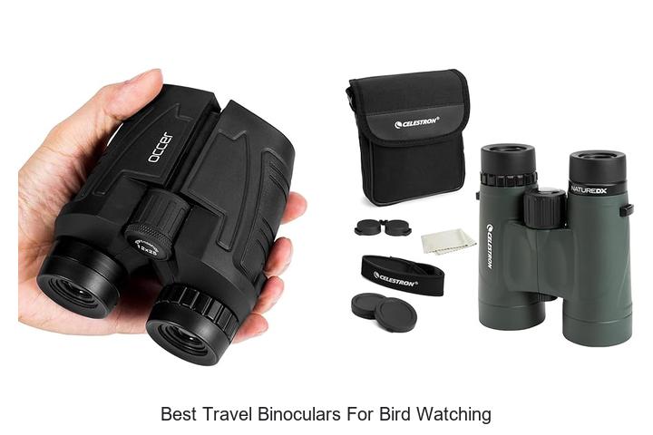 best travel binoculars for bird watching