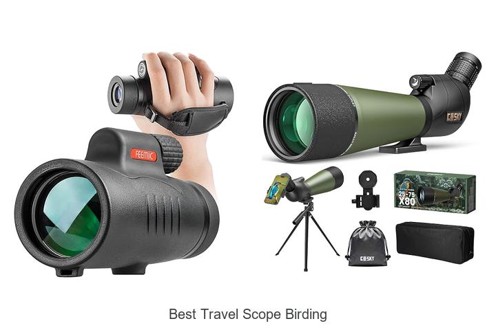 best travel scope birding