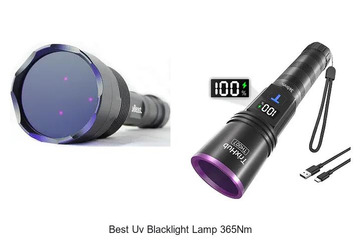 best uv blacklight lamp 365nm