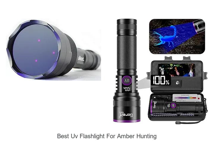 best uv flashlight for amber hunting