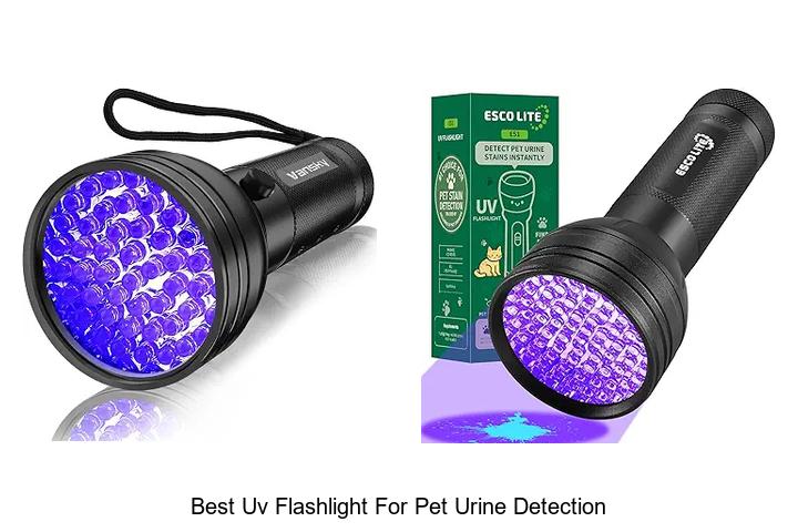 best uv flashlight for pet urine detection
