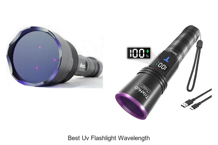 best uv flashlight wavelength