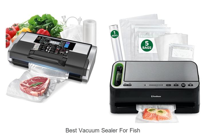 best vacuum sealer for fish