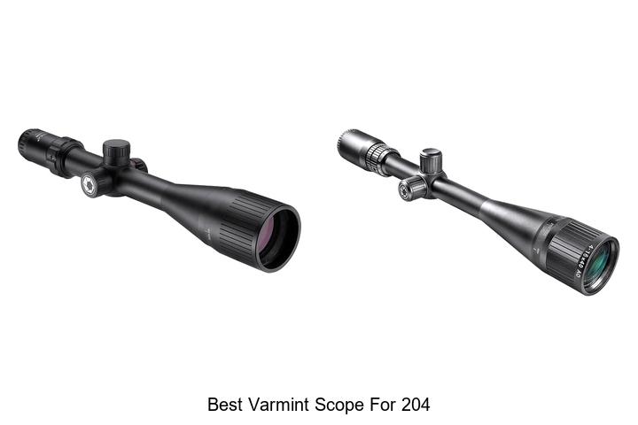 best varmint scope for 204