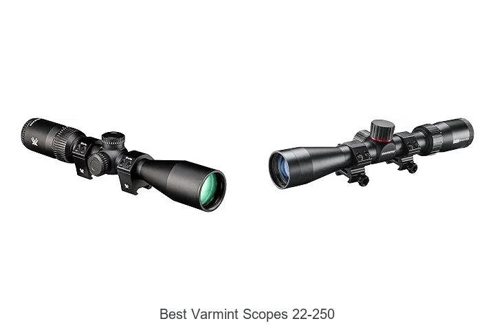 best varmint scopes 22-250