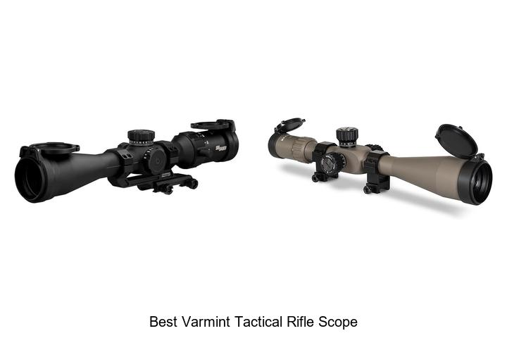 best varmint tactical rifle scope