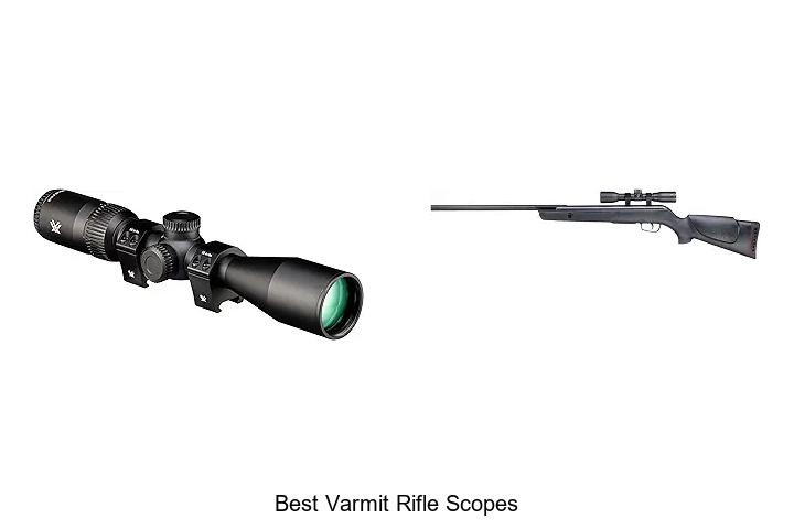best varmit rifle scopes