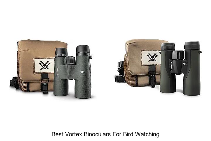 best vortex binoculars for bird watching