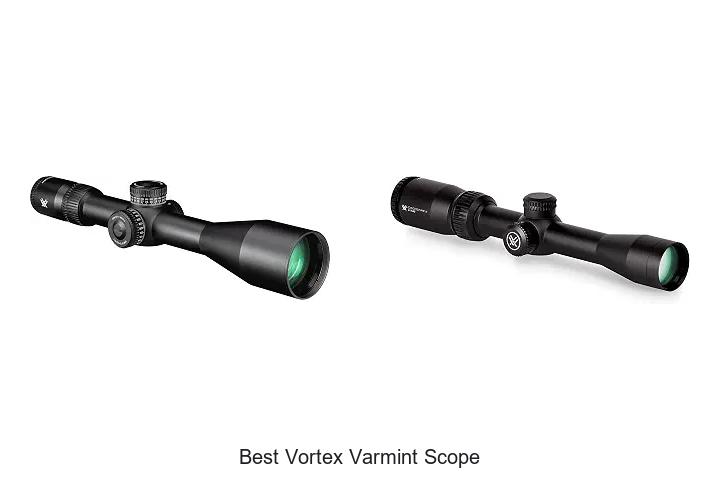 best vortex varmint scope