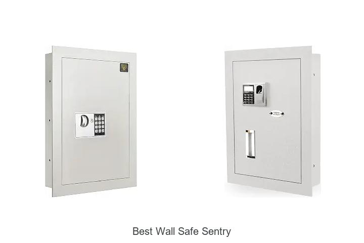 best wall safe sentry