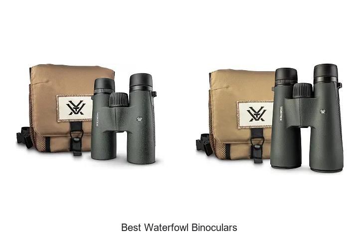 best waterfowl binoculars