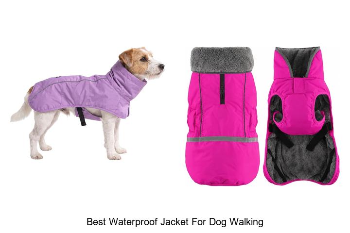 best waterproof jacket for dog walking