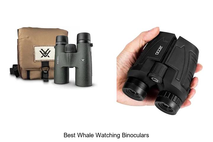 best whale watching binoculars