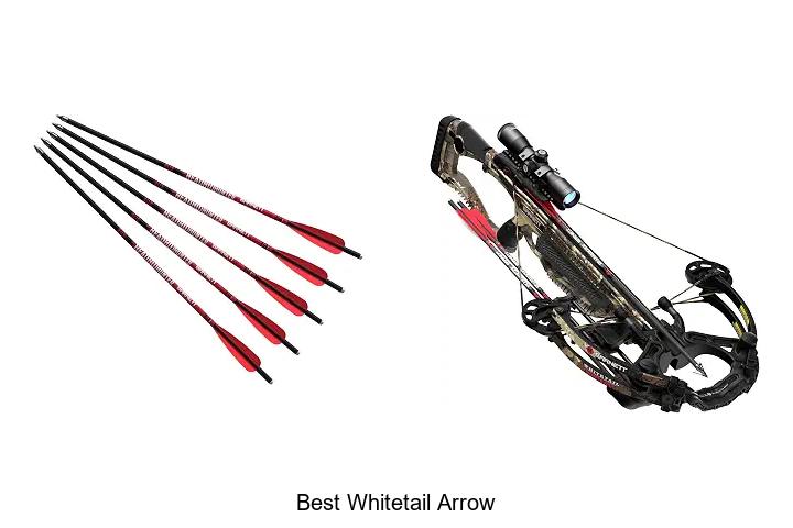 best whitetail arrow