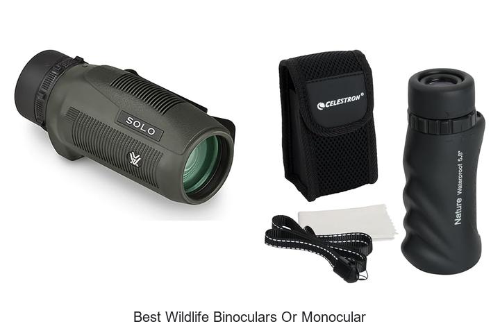 best wildlife binoculars or monocular