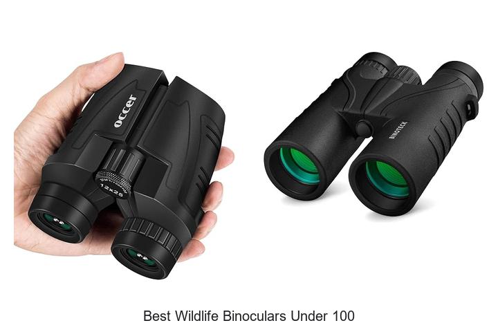 best wildlife binoculars under 100