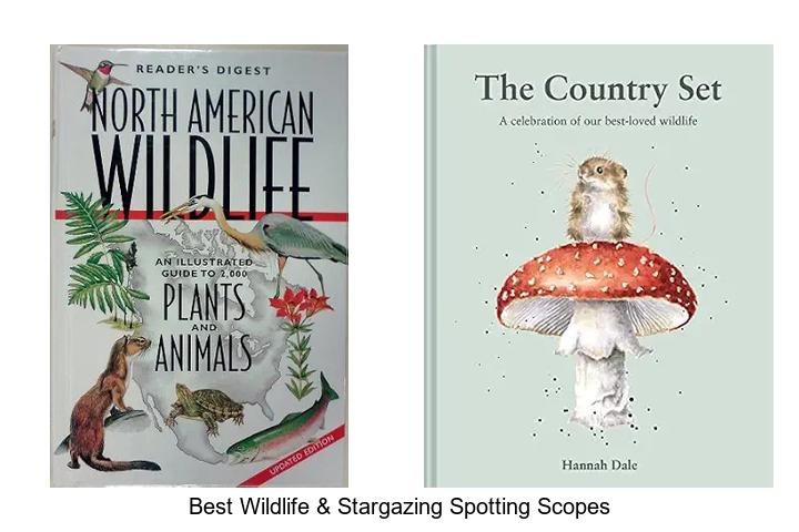 best wildlife & stargazing spotting scopes