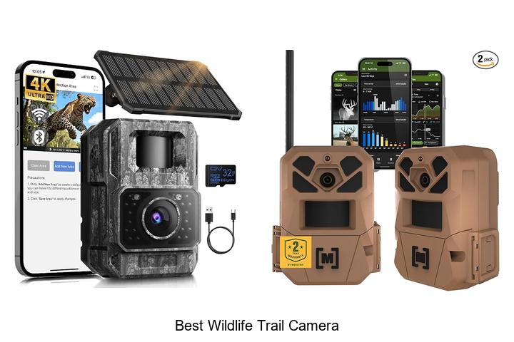best wildlife trail camera