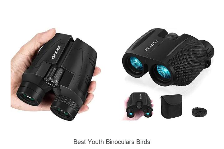 best youth binoculars birds